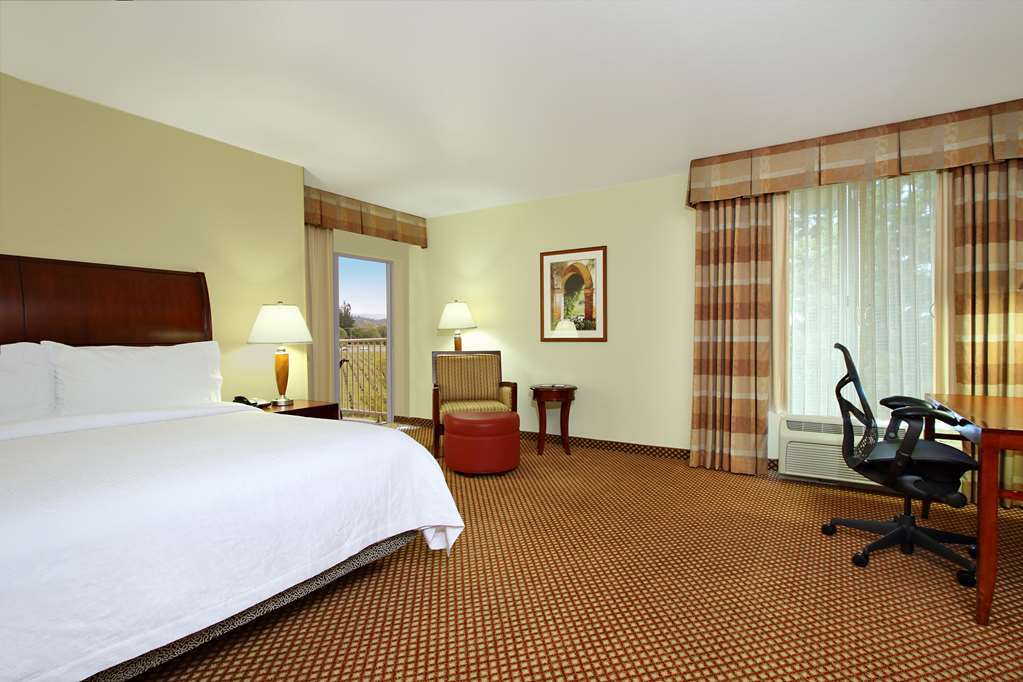 Hilton Garden Inn Sonoma County Airport Santa Rosa Chambre photo